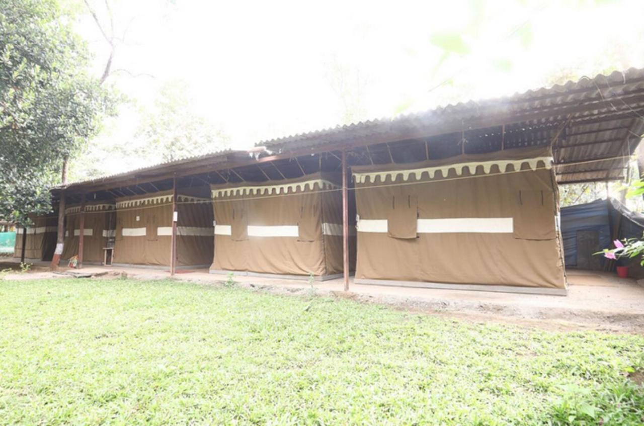 Nature Trails Sajan, Vikramgad Kudan Экстерьер фото
